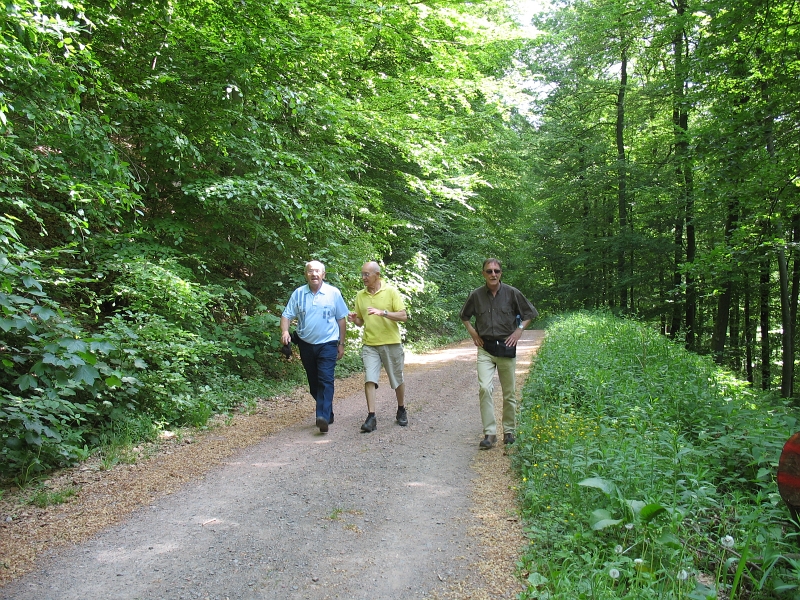 Wanderung 2011 033.jpg